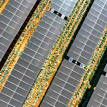 Decorative image. Photo från AdobeStock.