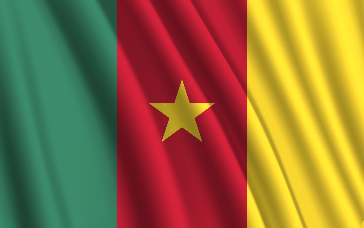 Picture of the Cameroon flag.