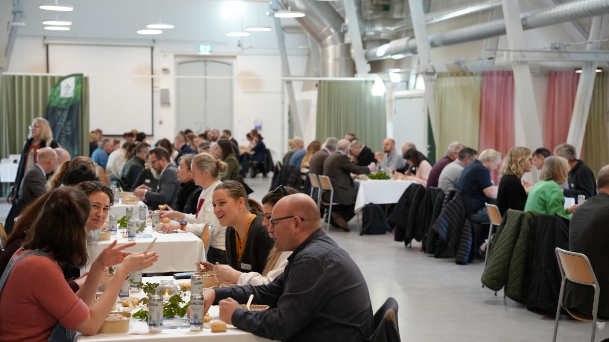 Många människor äter lunch och samtalar vid bord
