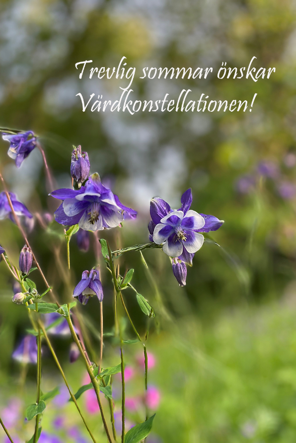 Blå akvileja och texten Trevlig sommar önskar värdkonstellationen