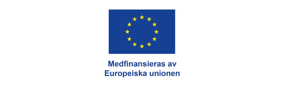 Blå EU-flagga med stjärnor i ring