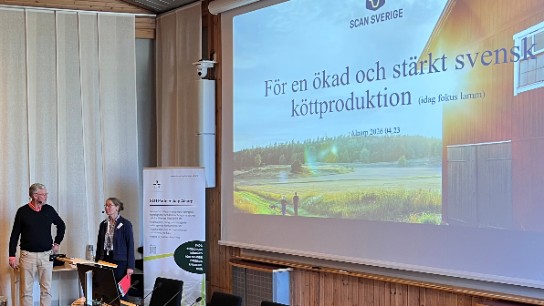 Två personer framför en presentation