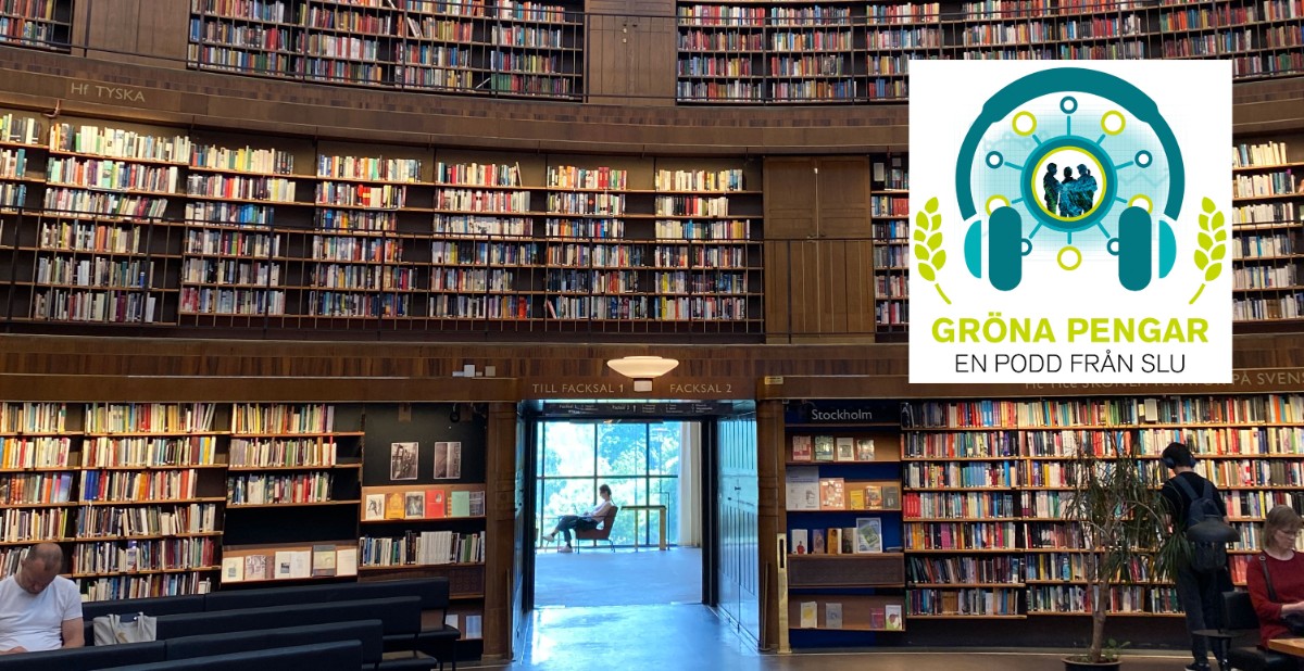 Stort bibliotek med många bokhyllor