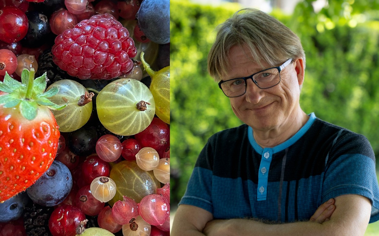 Collage: bär och porträtt av Kimmo