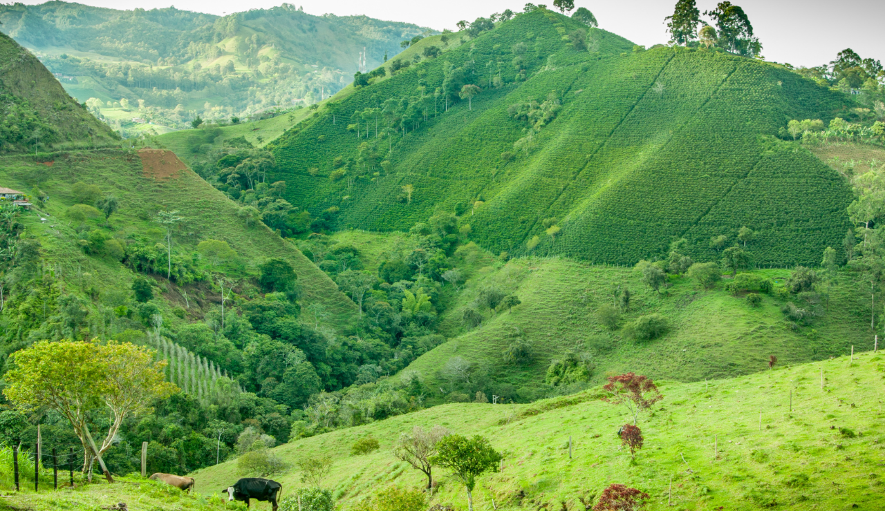Photo of landscape.