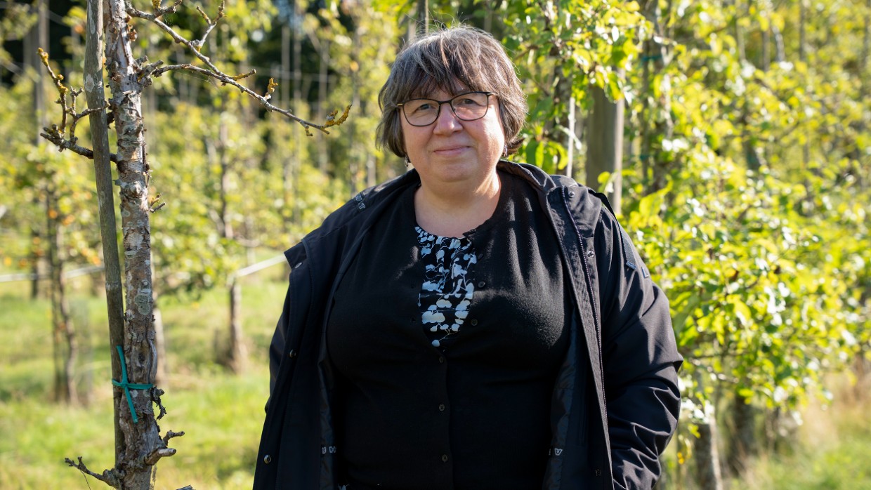 Larisa i en äppelodling