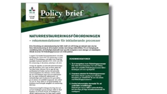 Del av policy brief
