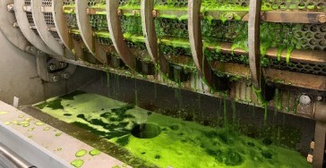 Grönjuicepress
