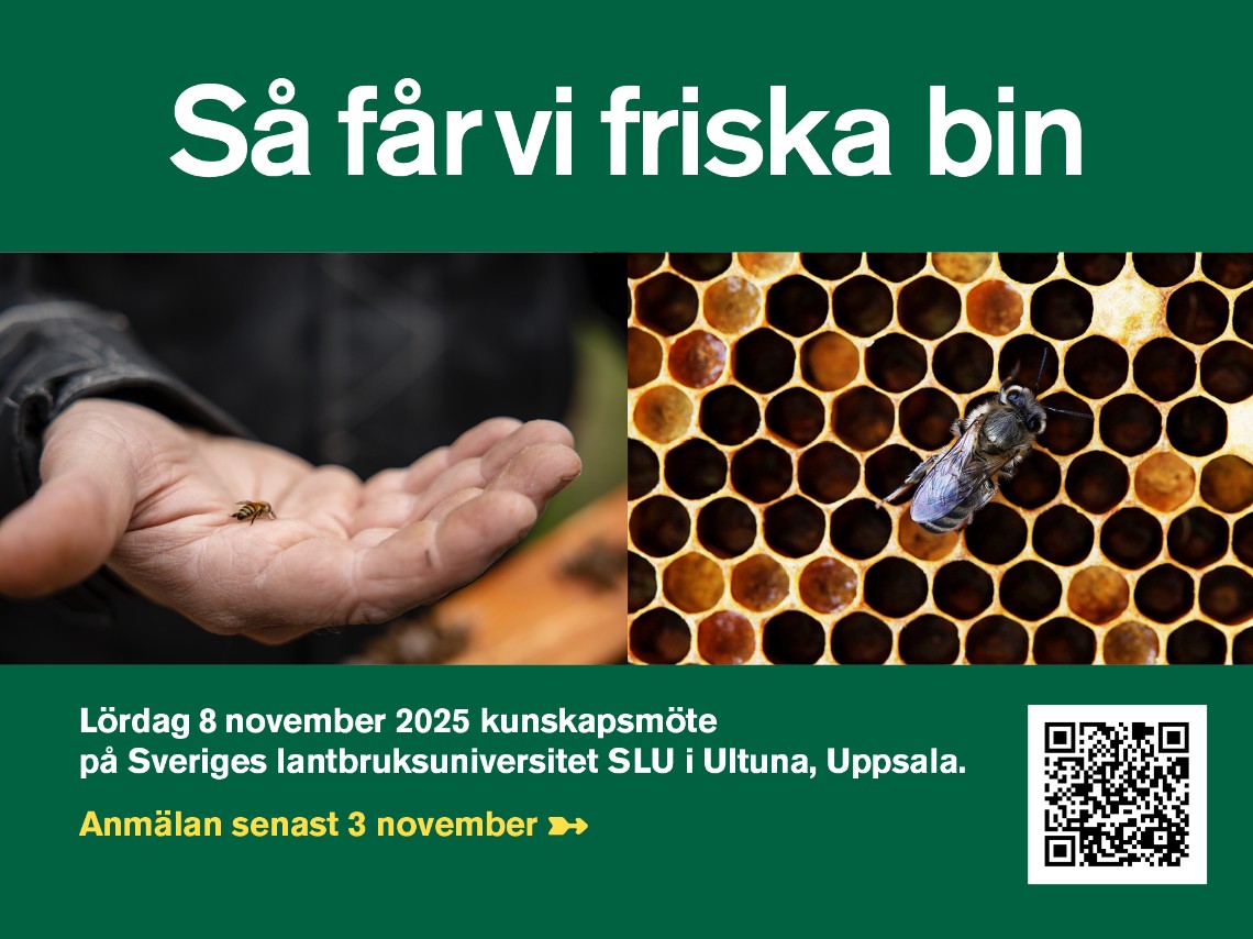 Inbjudan Så får vi friska bin