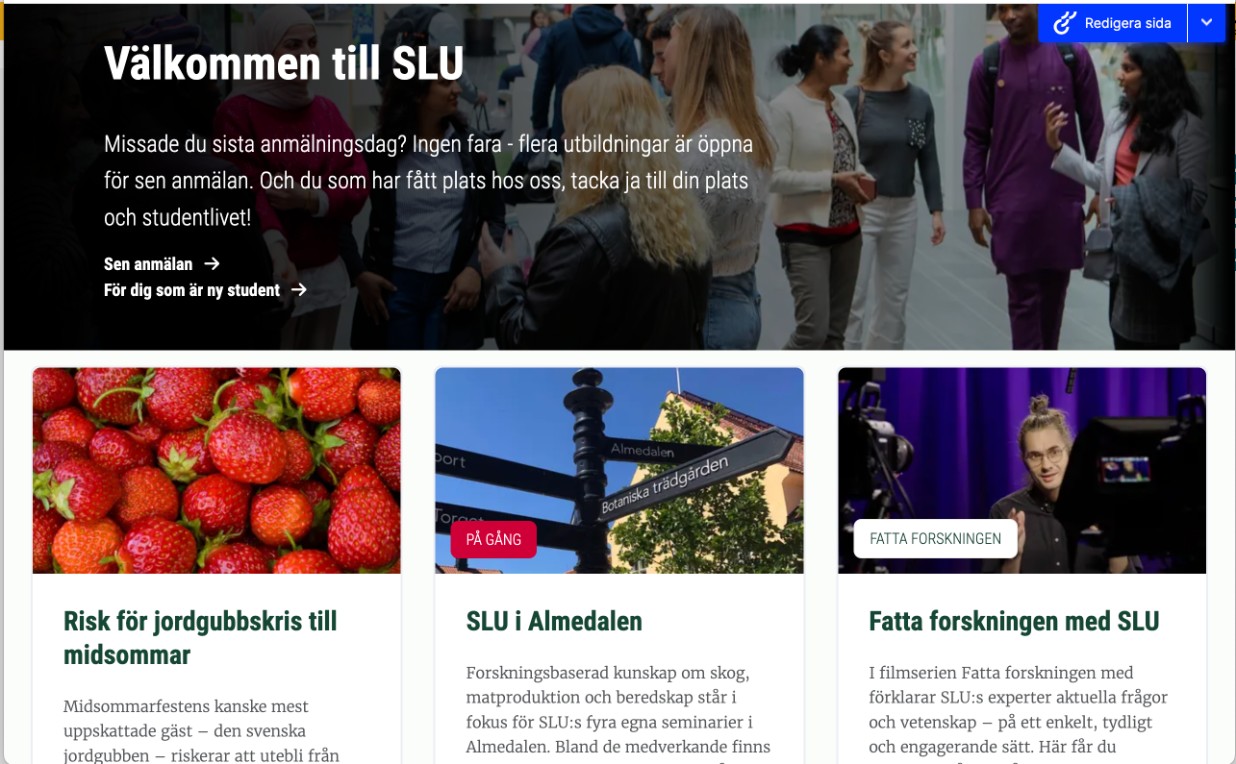 Skärmdump ny webb