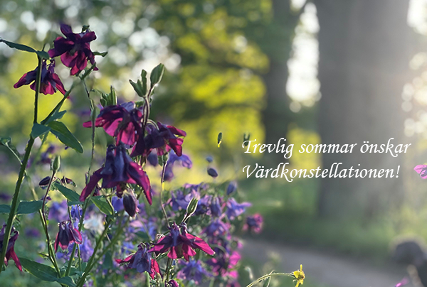 Blomster i motljus