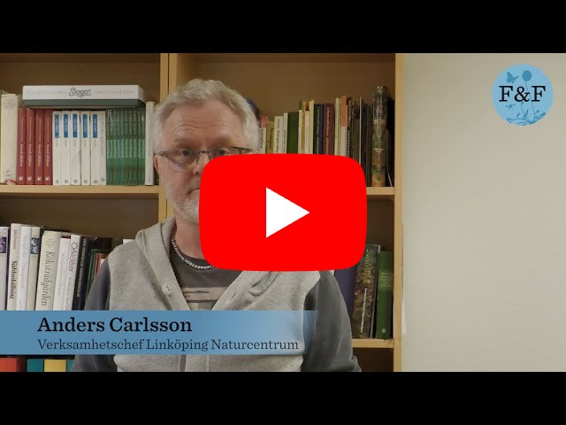 Initiativtagaren Lotta Fabricius Kristiansen berättar om bakgrunden till projektet Flora & Fauna medborgarforskning. 